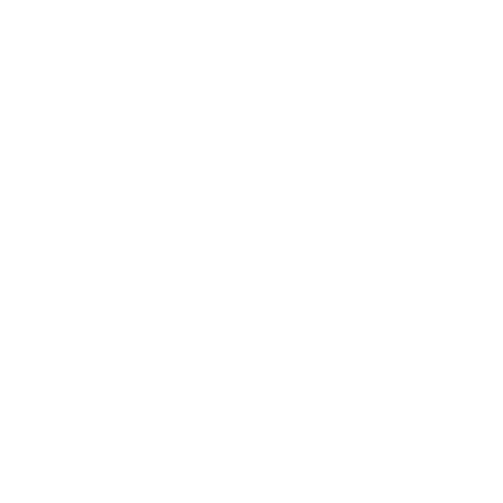 FEEY logo