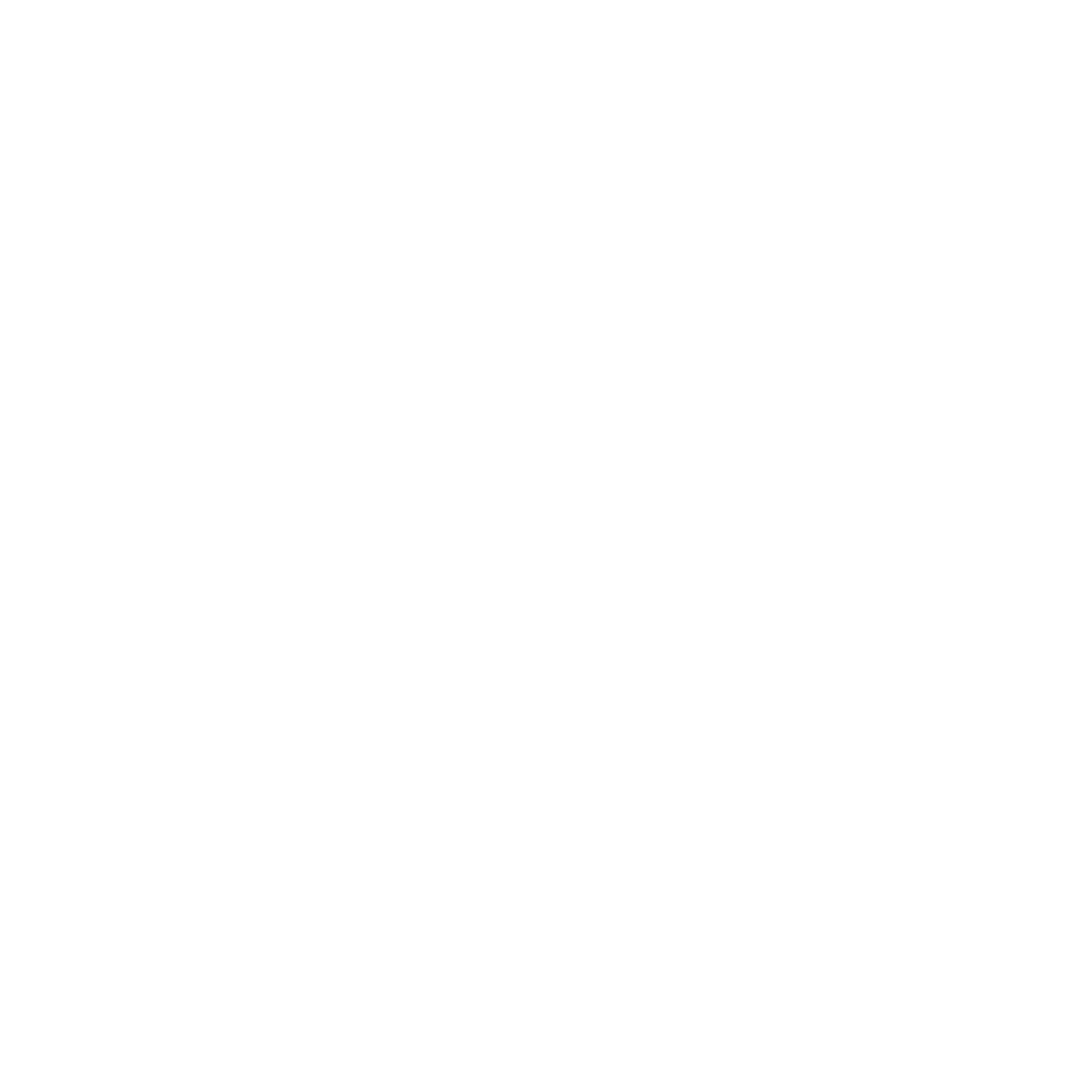 VİVASTEEP logo