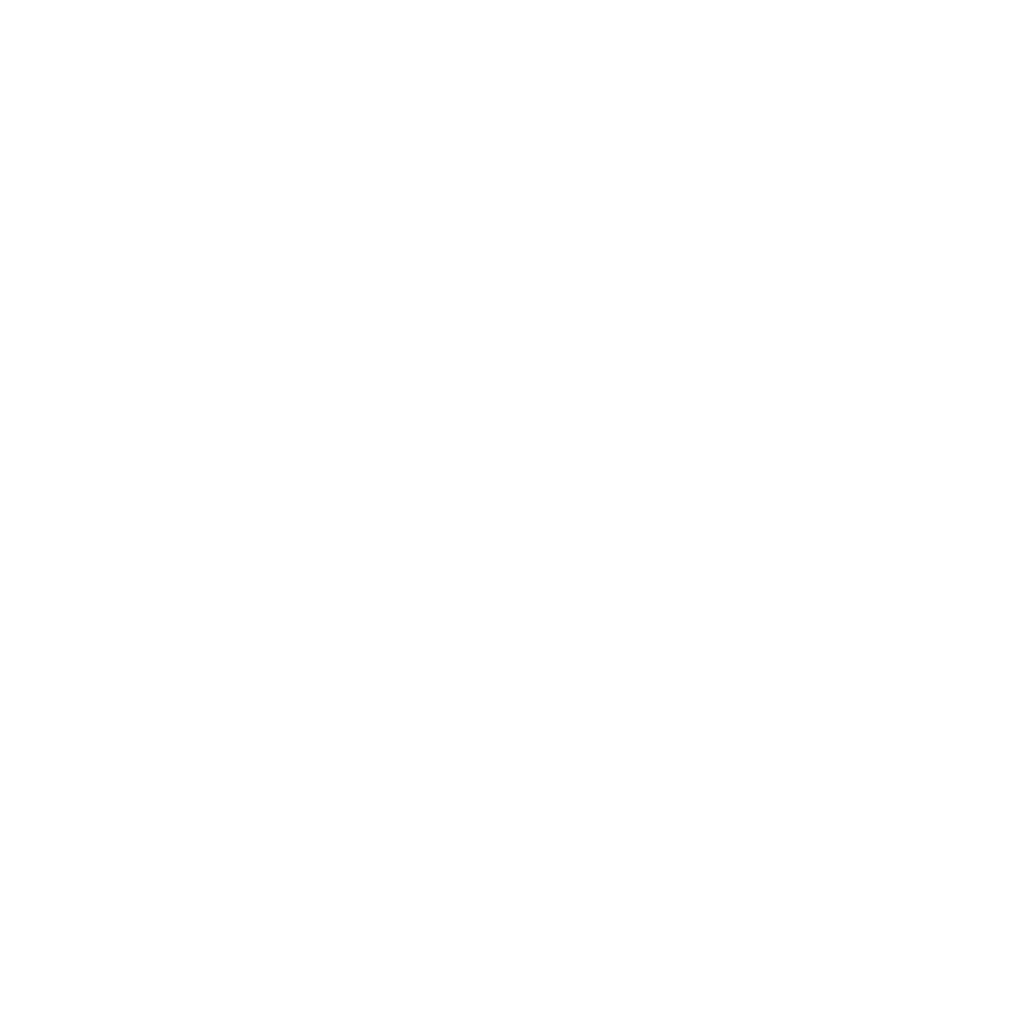 BİRSEN BIÇAKCI logo