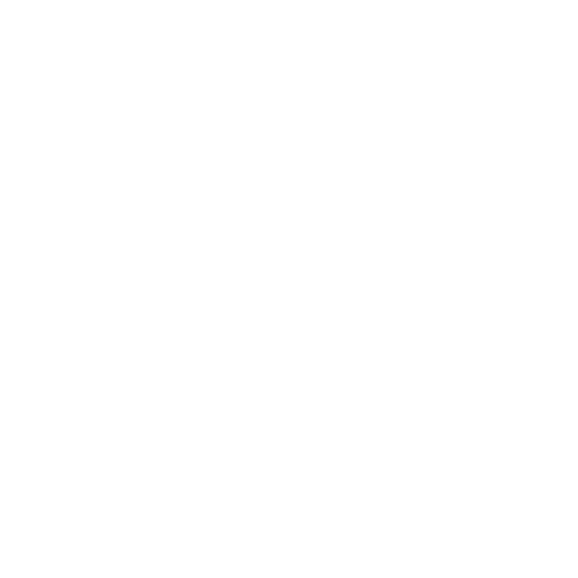 STM SHOES logo